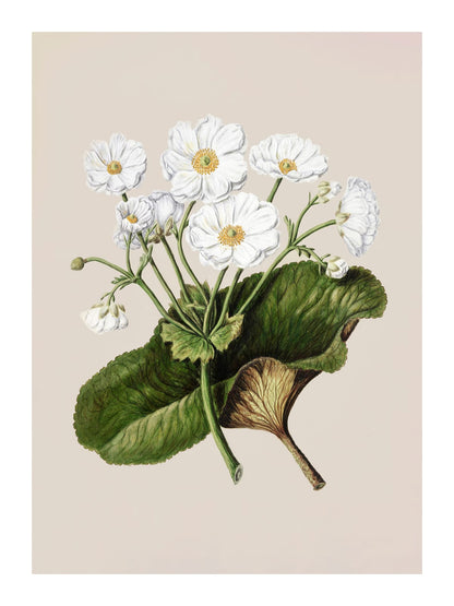 variant-30x40_with-margin
