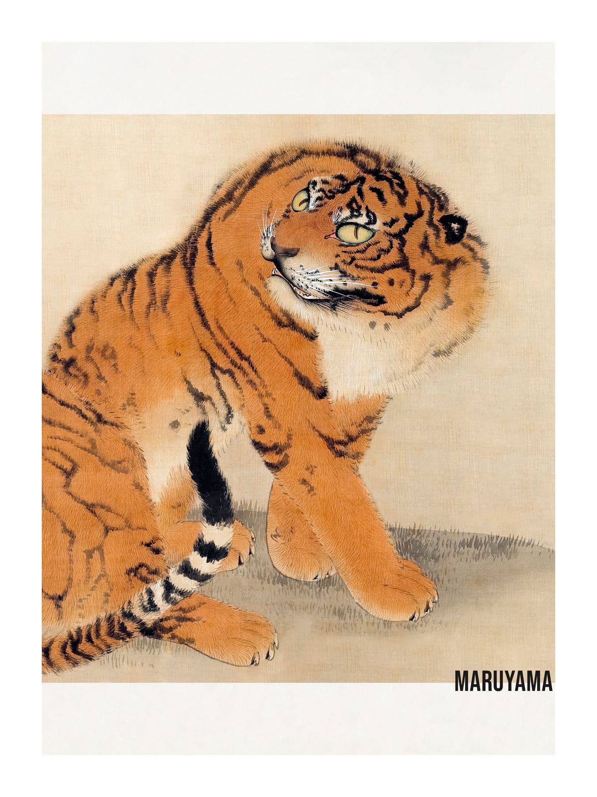 variant-30x40_with-margin