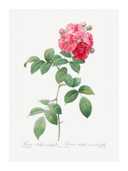 variant-30x40_with-margin