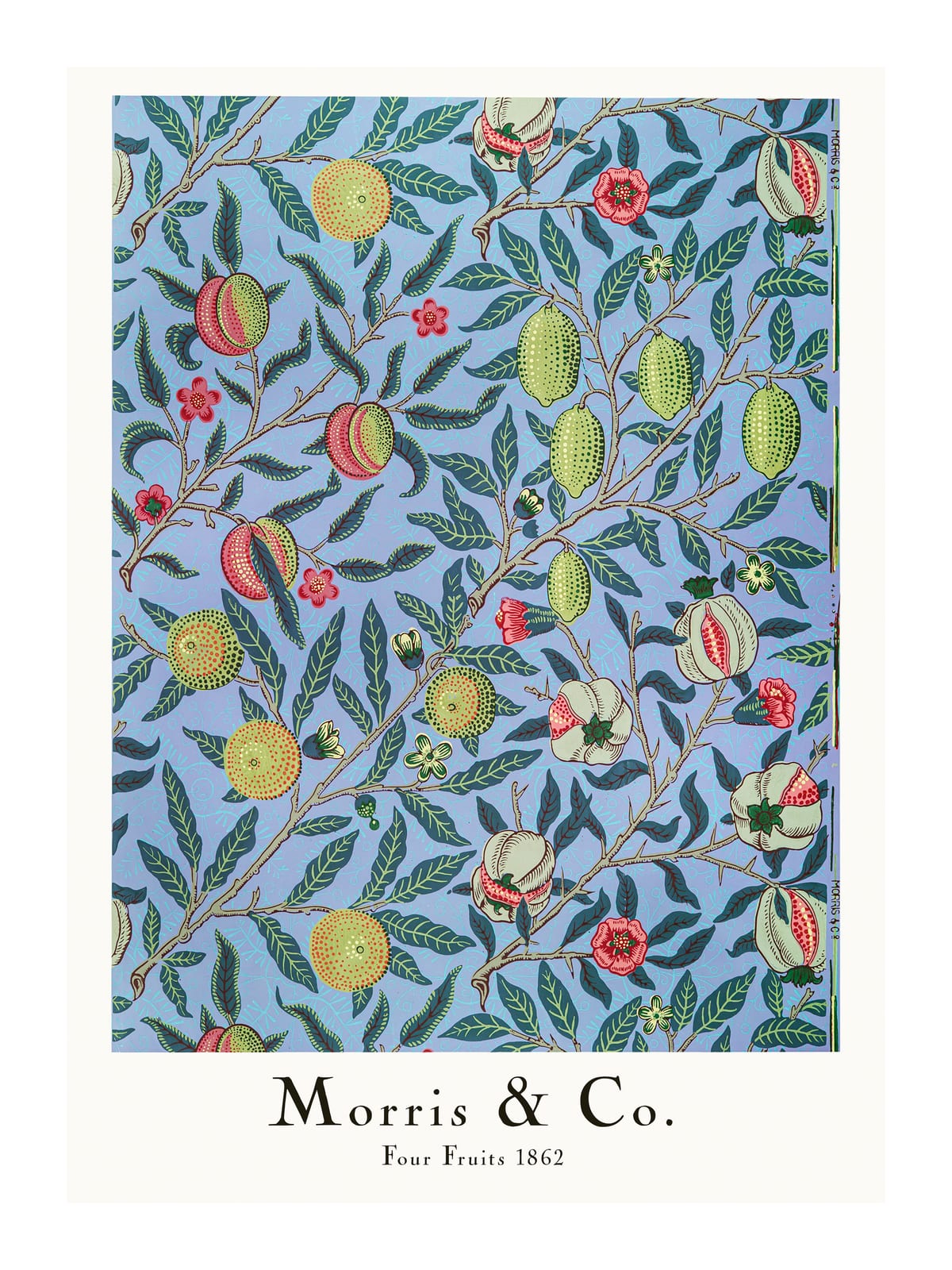 variant-30x40_with-margin