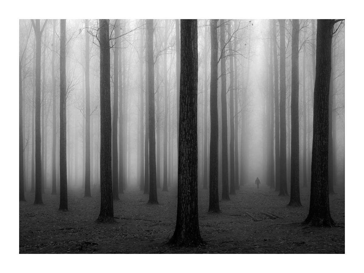 variant-30x40_with-margin