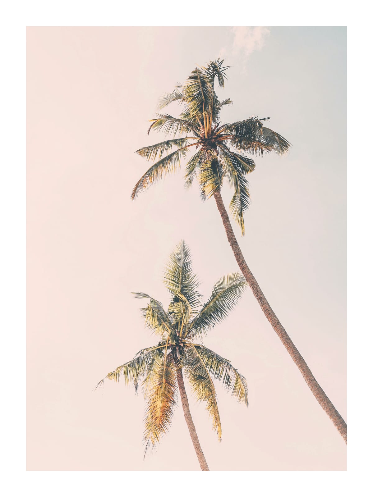 variant-30x40_with-margin