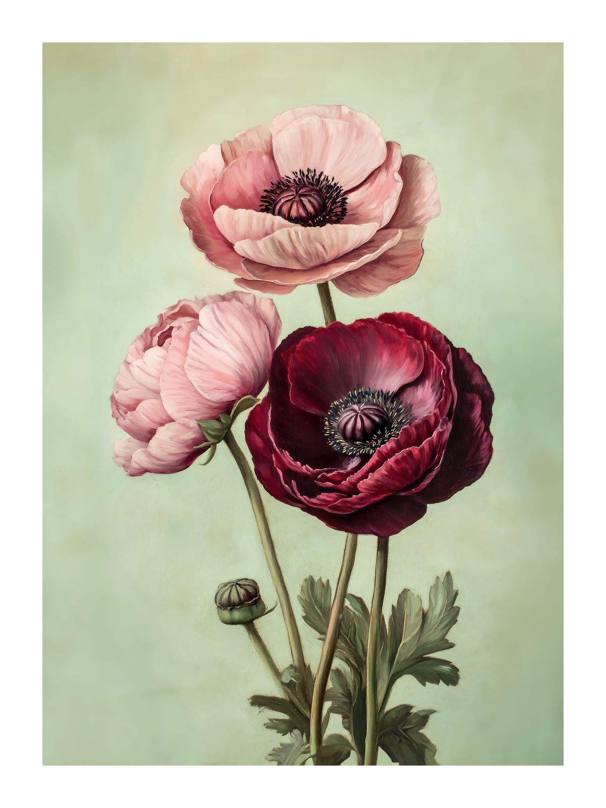 variant-30x40_with-margin