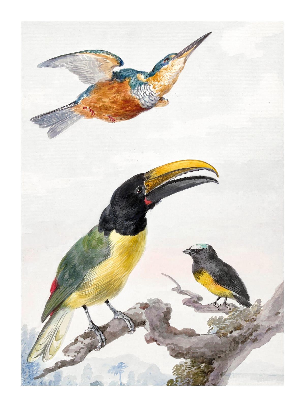 variant-30x40_with-margin
