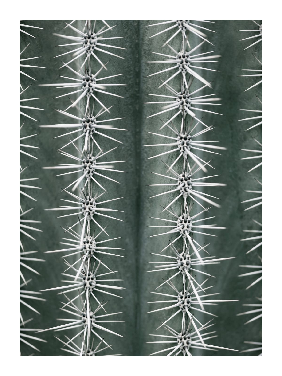 variant-30x40_with-margin