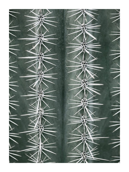 variant-30x40_with-margin