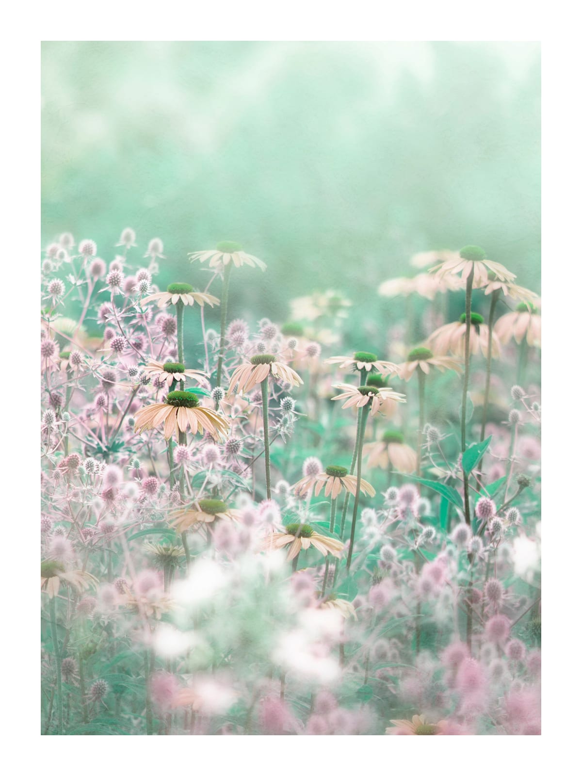 variant-30x40_with-margin