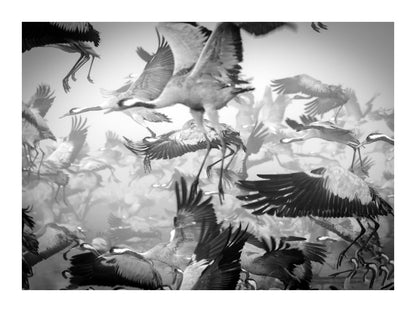 variant-30x40_with-margin