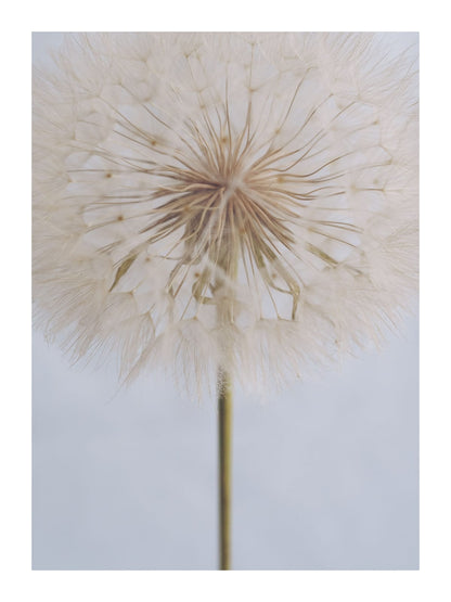 variant-30x40_with-margin
