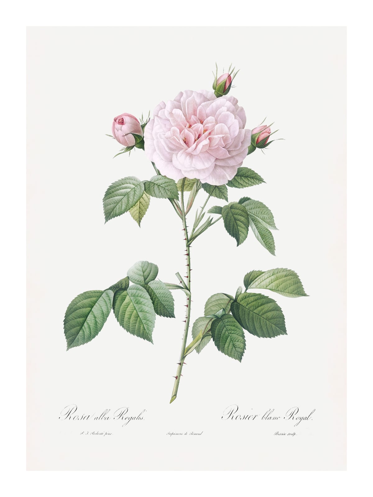 variant-30x40_with-margin