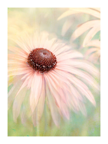 variant-30x40_with-margin