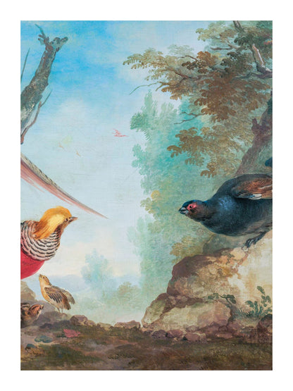 variant-30x40_with-margin