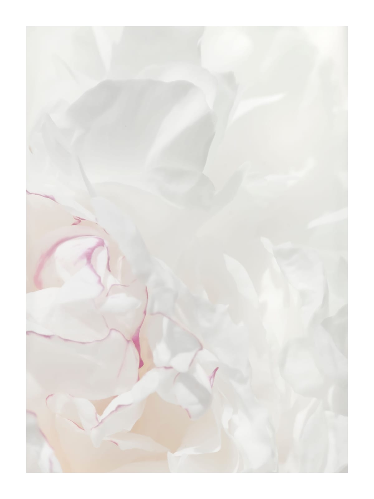 variant-30x40_with-margin