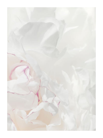 variant-30x40_with-margin