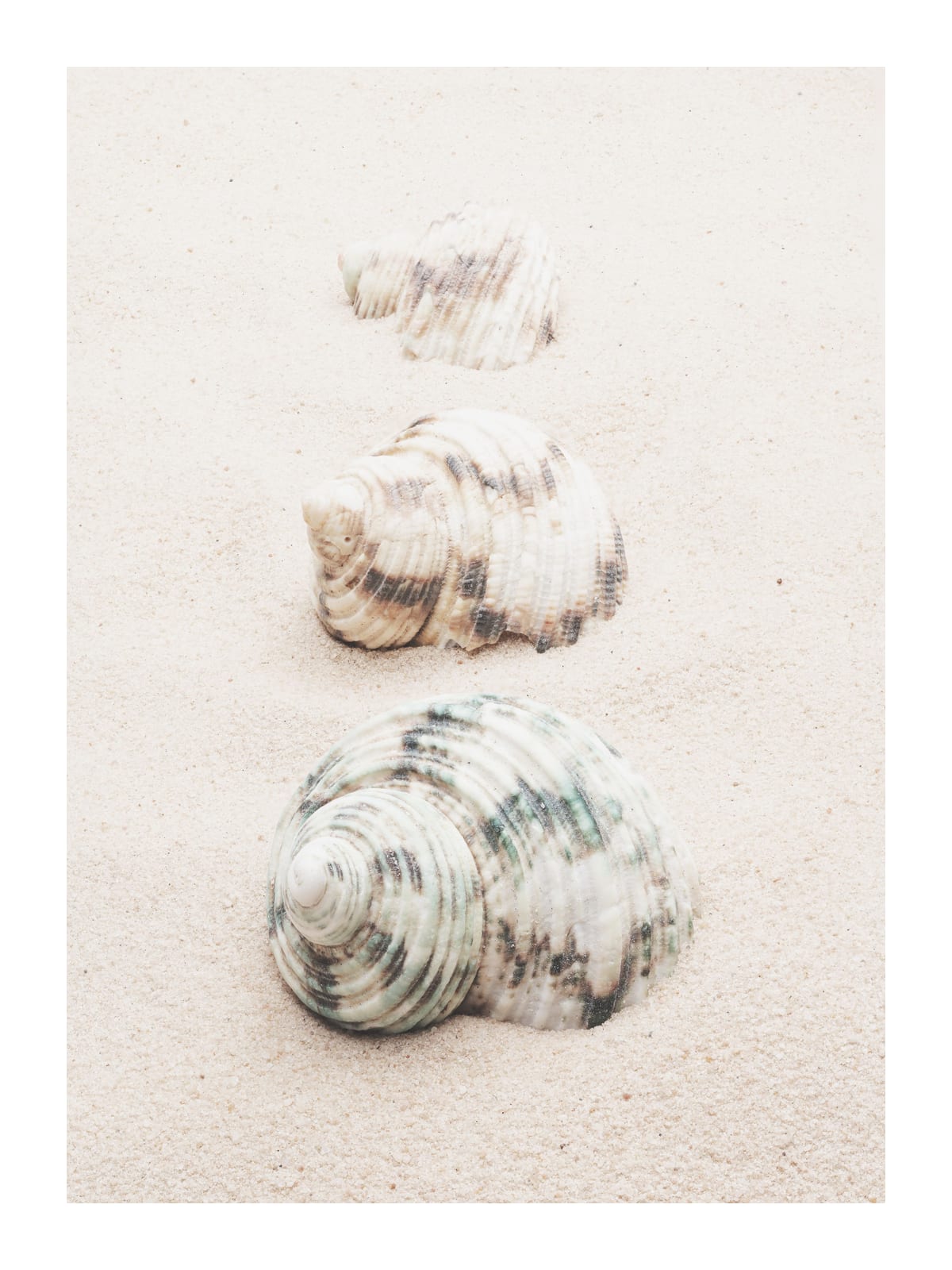 variant-30x40_with-margin