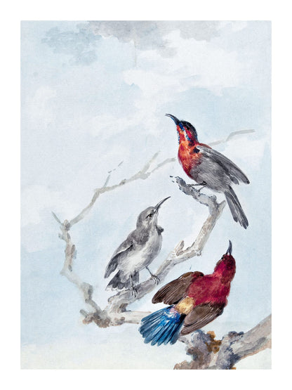 variant-30x40_with-margin