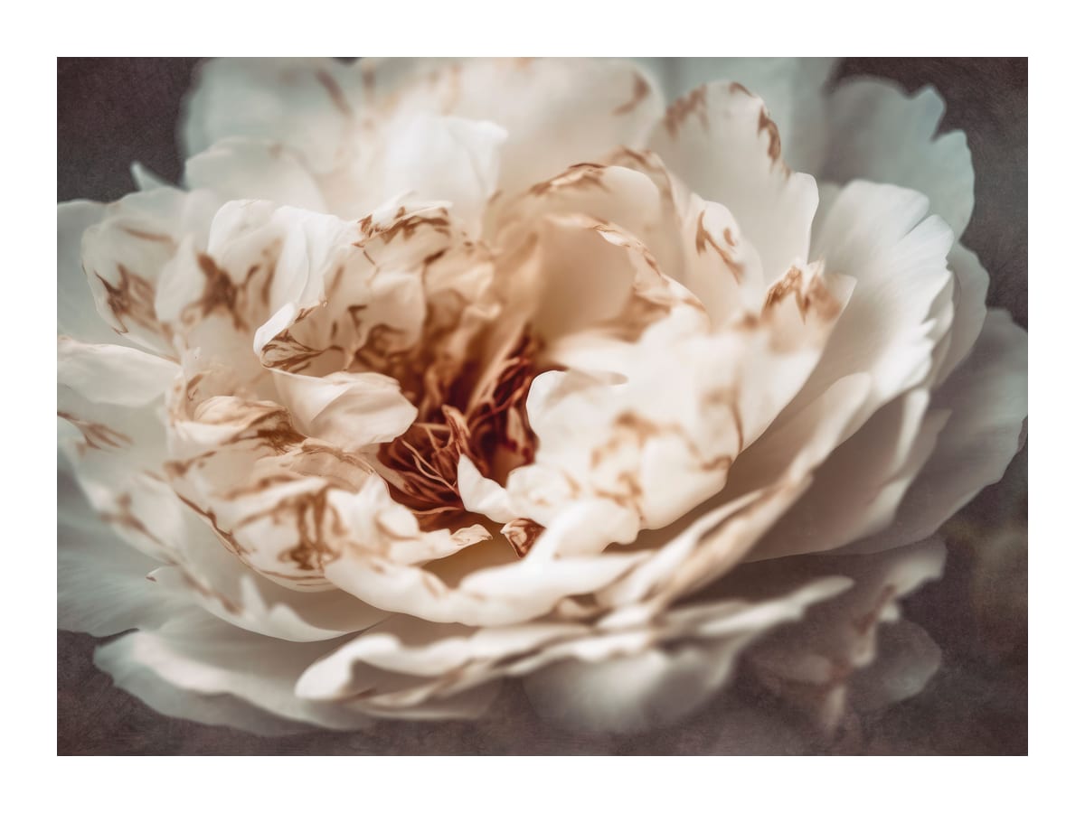 variant-30x40_with-margin