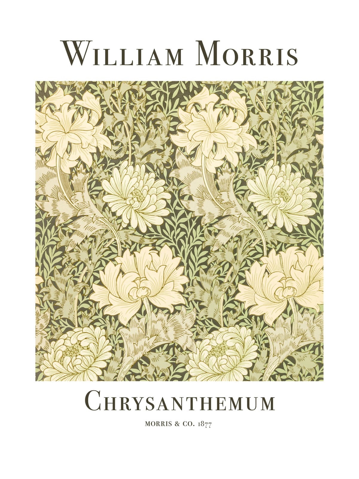 variant-30x40_with-margin