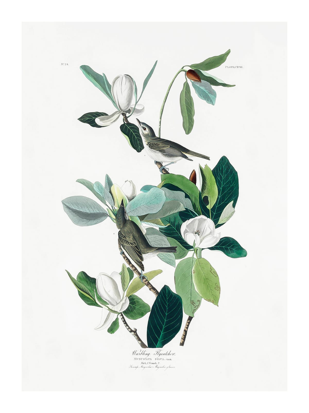 variant-30x40_with-margin