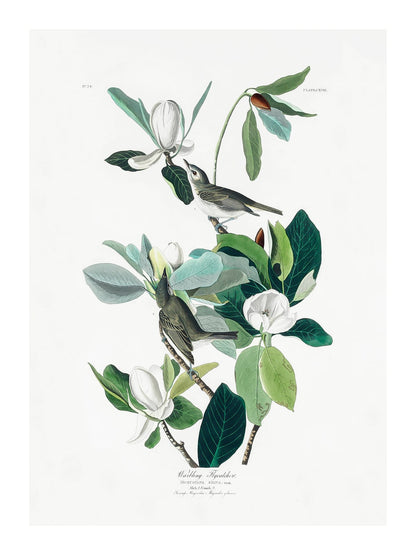 variant-30x40_with-margin