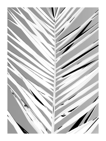 variant-30x40_with-margin