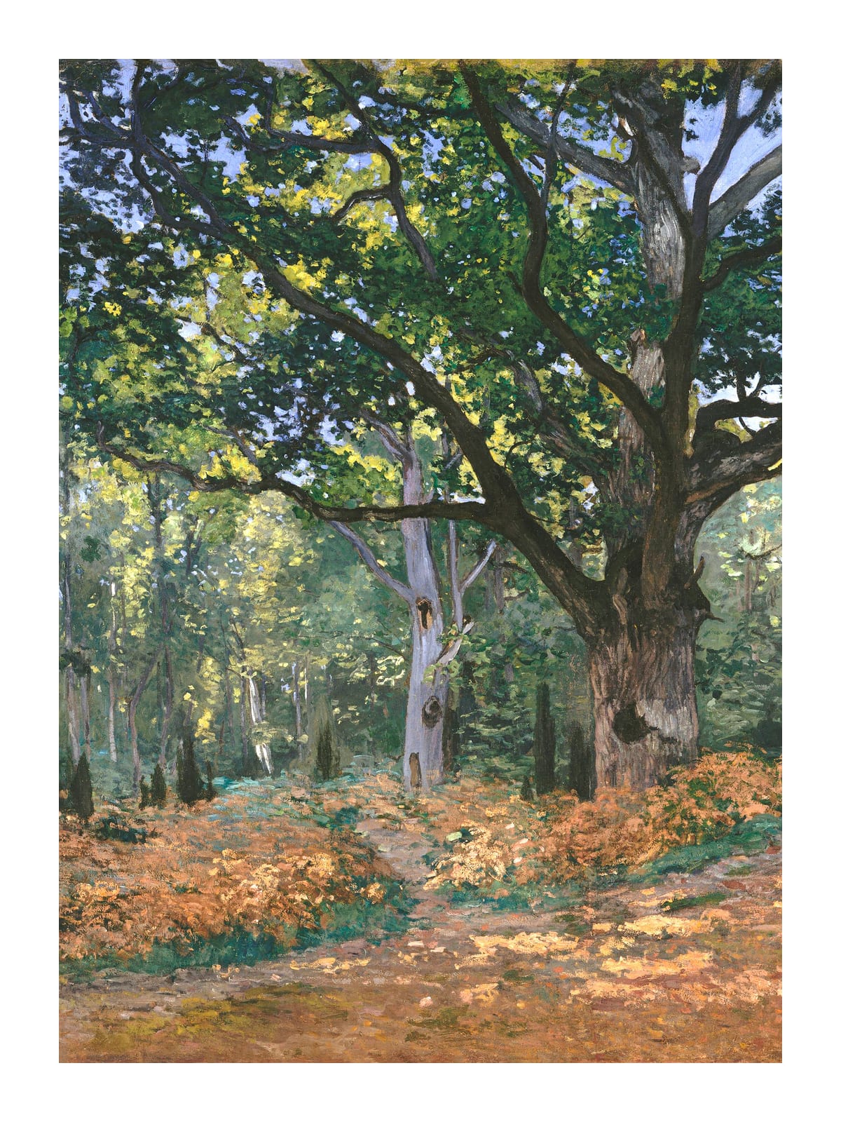 variant-30x40_with-margin