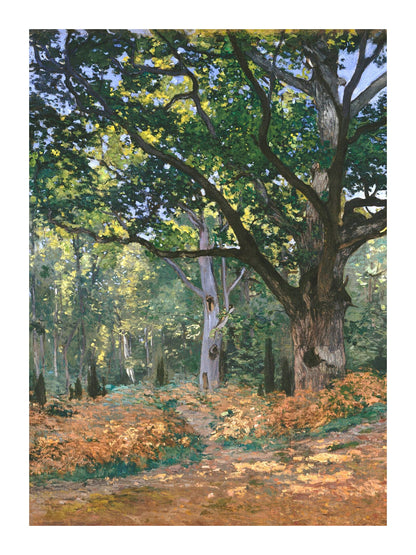 variant-30x40_with-margin