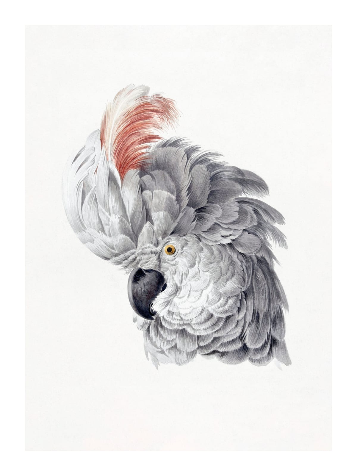 variant-30x40_with-margin