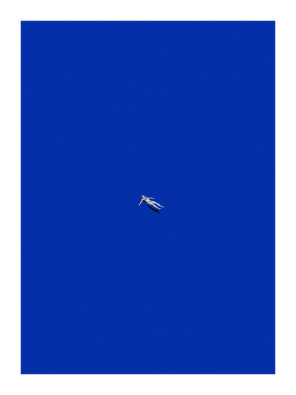 variant-30x40_with-margin