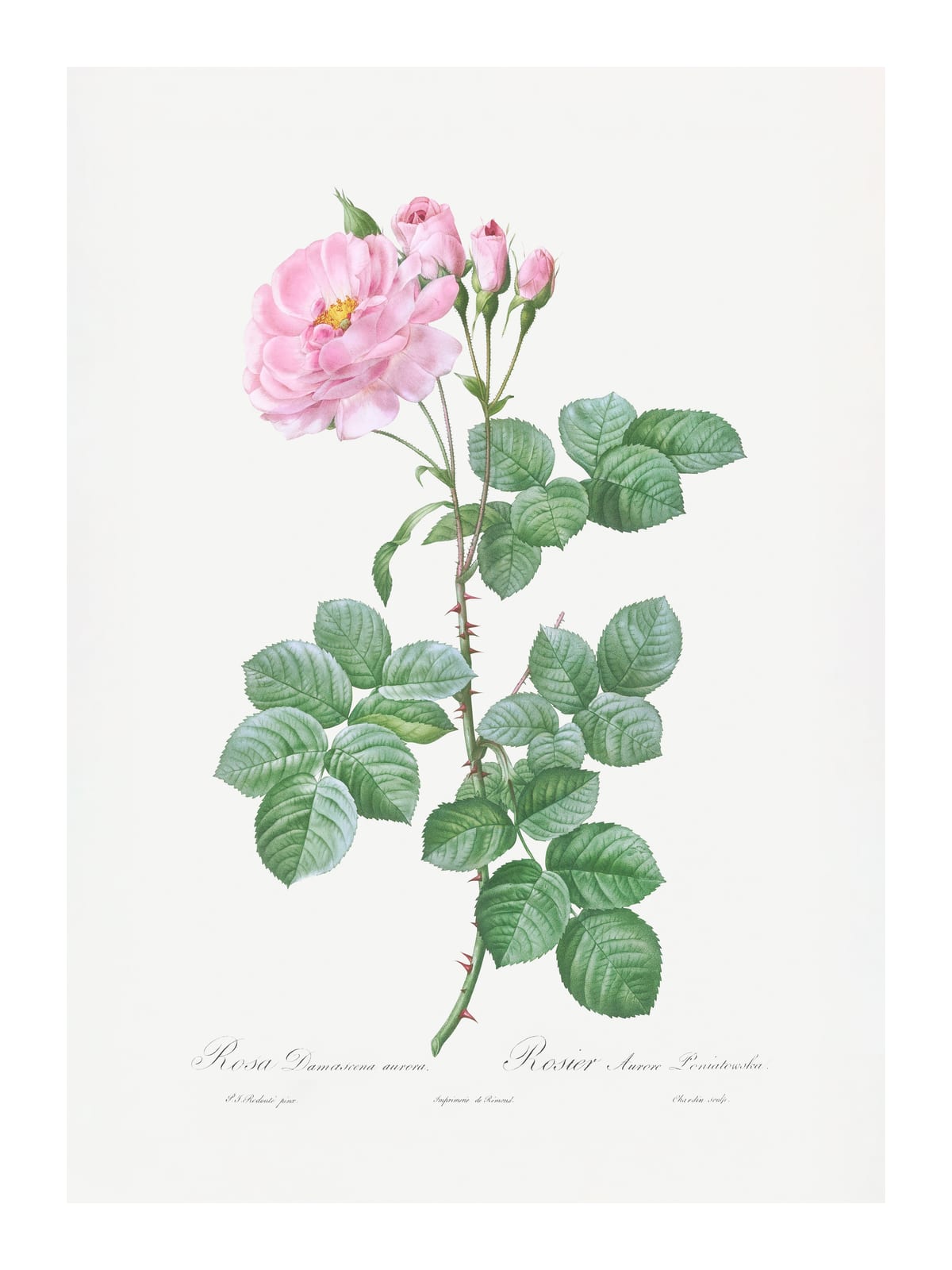 variant-30x40_with-margin