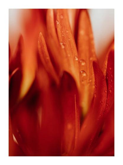 variant-30x40_with-margin