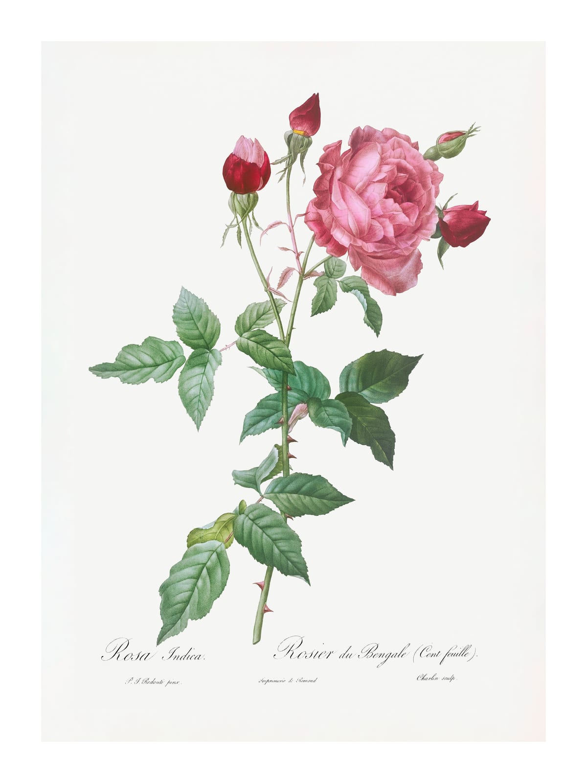 variant-30x40_with-margin