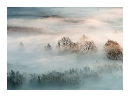 variant-30x40_with-margin