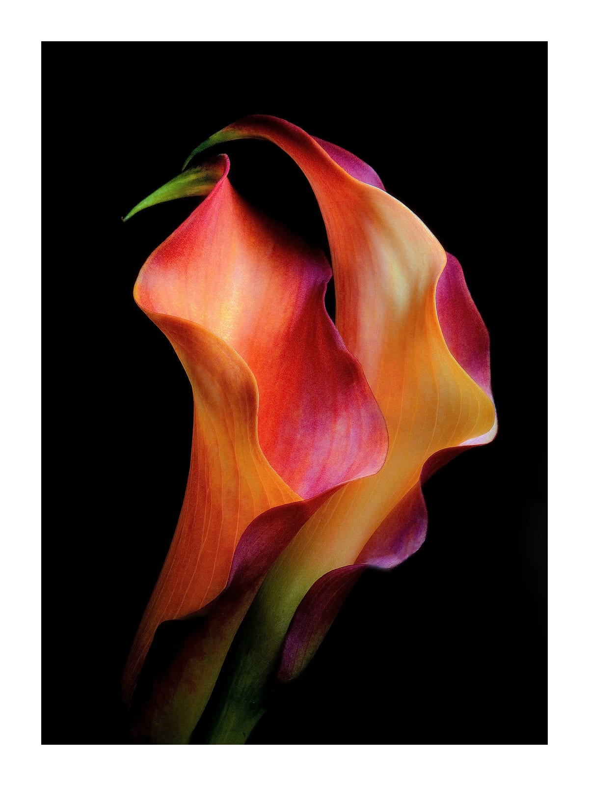 variant-30x40_with-margin