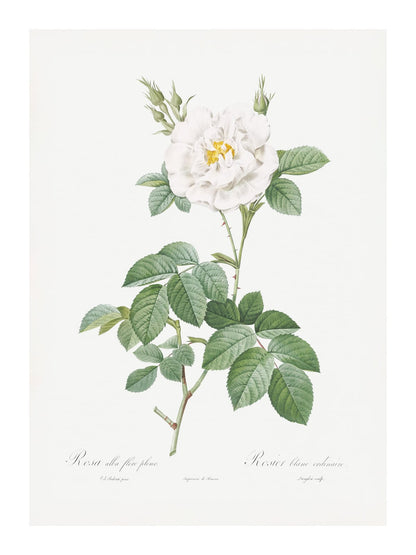 variant-30x40_with-margin