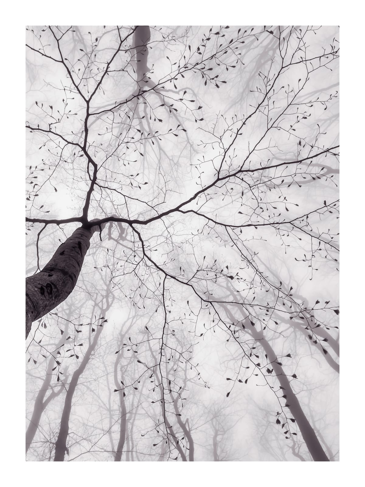variant-30x40_with-margin