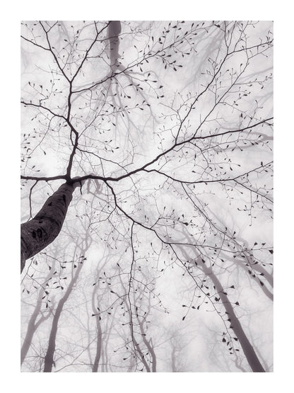 variant-30x40_with-margin
