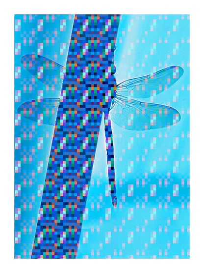 variant-30x40_with-margin