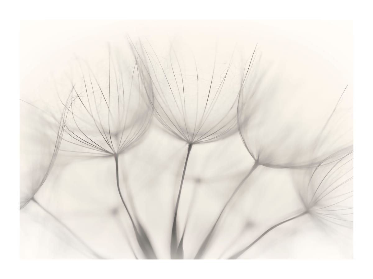 variant-30x40_with-margin