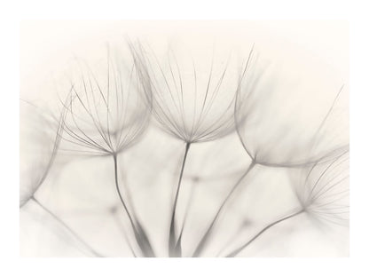 variant-30x40_with-margin