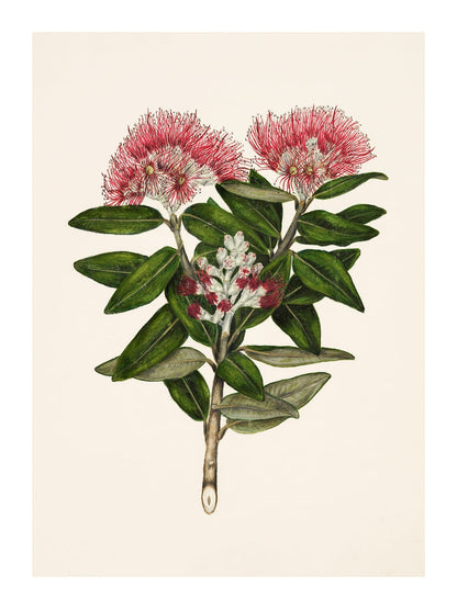 variant-30x40_with-margin