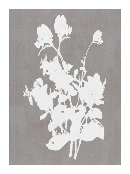variant-30x40_with-margin