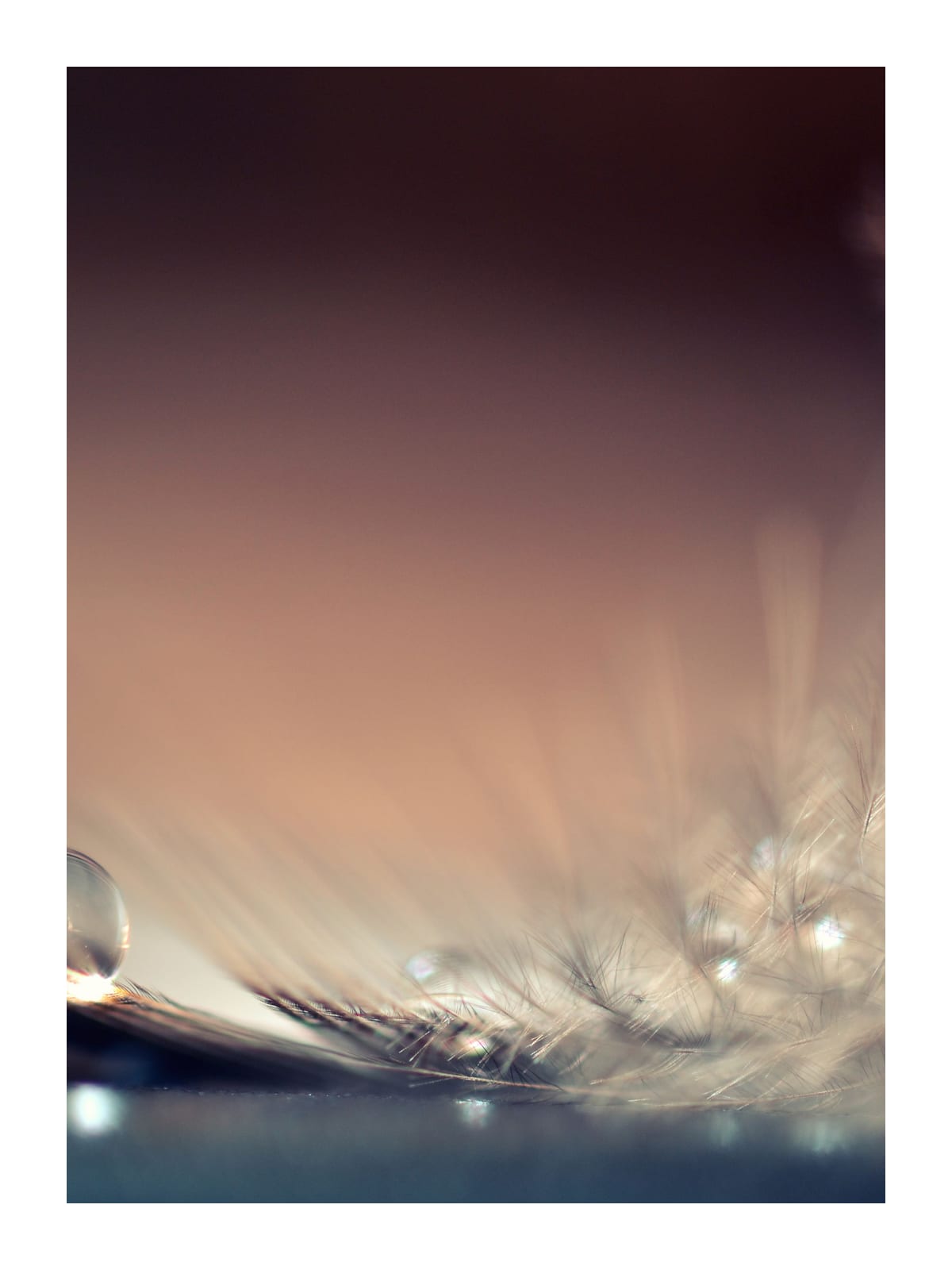 variant-30x40_with-margin