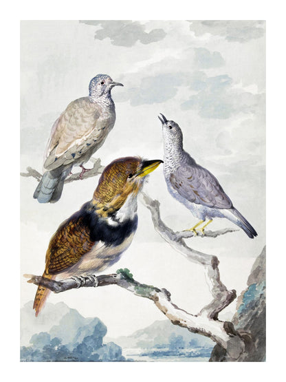 variant-30x40_with-margin