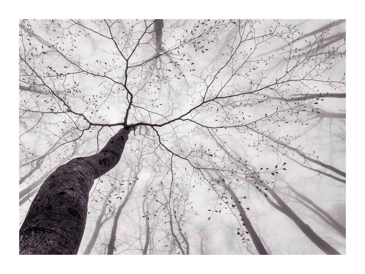 variant-30x40_with-margin
