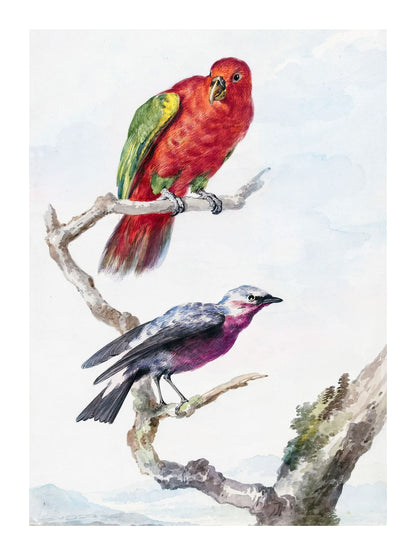variant-30x40_with-margin