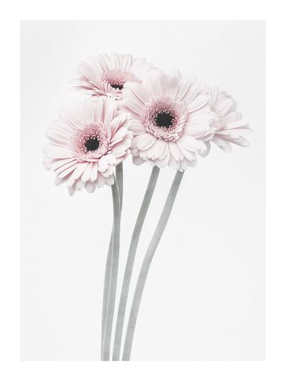 variant-30x40_with-margin