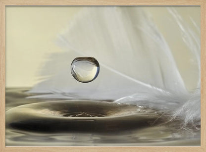 A high-speed macro photograph captures a perfectly spherical water droplet suspended in mid-air above a ripple on the water's surface. A soft white feather lies in the background, creating a serene and delicate composition with a neutral color palette, all enclosed in a brushed silver frame. Wall Art