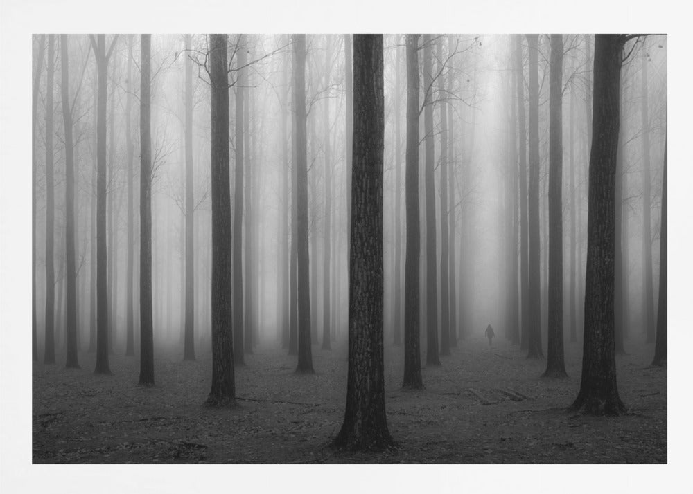 A moody black and white framed photograph of a person walking away through a dense forest on a foggy day. Tall, dark, leafless tree trunks stand in rows, disappearing into the thick, white mist, creating a sense of depth and mystery. Wall Art