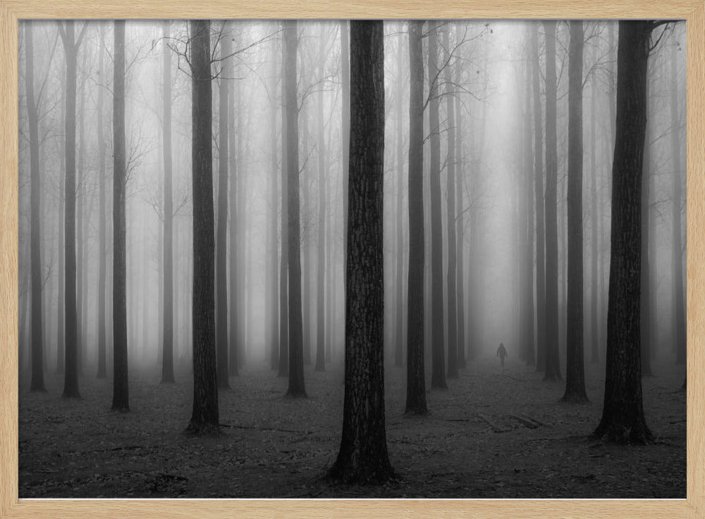A moody black and white framed photograph of a person walking away through a dense forest on a foggy day. Tall, dark, leafless tree trunks stand in rows, disappearing into the thick, white mist, creating a sense of depth and mystery. Wall Art
